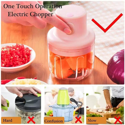 KolorFish Electric Mini Garlic Chopper 250ml – Portable Electric Vegetable Chopper | NISHU Superstores