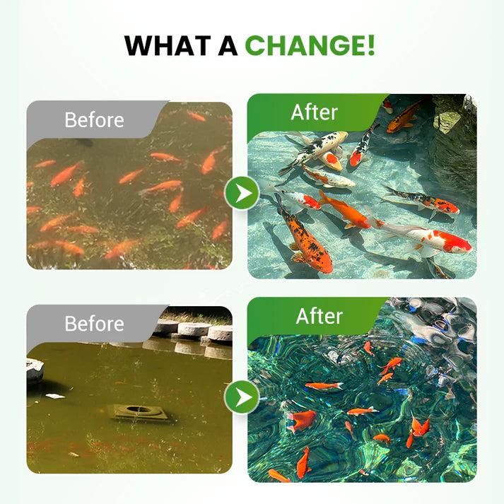 Water Conditioning Powder for Ponds – Healthy & Clear Water | NISHU Superstores