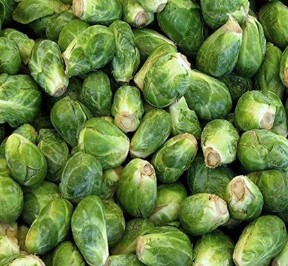 Nema Organic Brussels Sprouts Seeds – Fresh, Non-GMO & Easy to Grow | NISHU Superstores