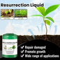 Resurrection Liquid for Plants & Flowers – 50ml Growth Booster | NISHU Superstores