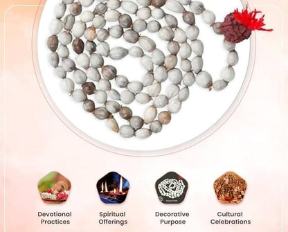 Original Vaijayanti Mala with Rudraksha & Moira Stone for Spiritual Protection & Positivity | NISHU Superstores