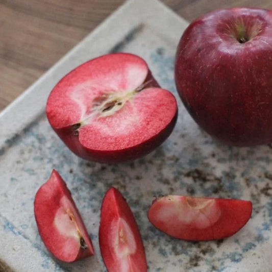 Red Apple Seeds for Home Gardening – Sweet & Juicy Fruit Trees | NISHU Superstores