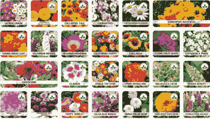 Varieties of Flower Seeds Pack (100 Seeds) + Free Plant Growth Supplement | NISHU Superstores
