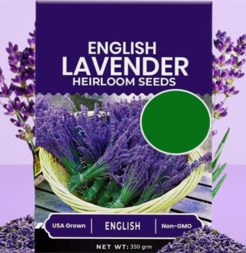 Lavender Seeds for Planting – 350gm Pack for Home Garden & Outdoor Farming | NISHU Superstores