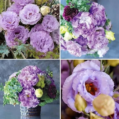 Lisianthus Flower Seeds – Elegant Blooms for Home & Garden | NISHU Superstores