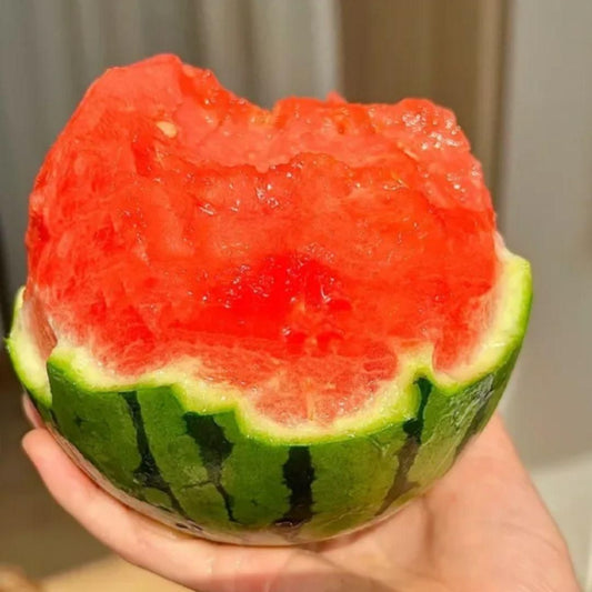 Ruby Watermelon Seeds – Sweet, Juicy & Deep Red Flesh | NISHU Superstores