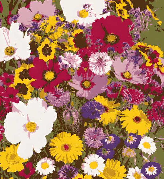 Varieties of Flower Seeds Pack (100 Seeds) + Free Plant Growth Supplement | NISHU Superstores