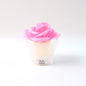 Led Rose Flower Decorative Flameless Tealight Candles - (6 Pc  Set)